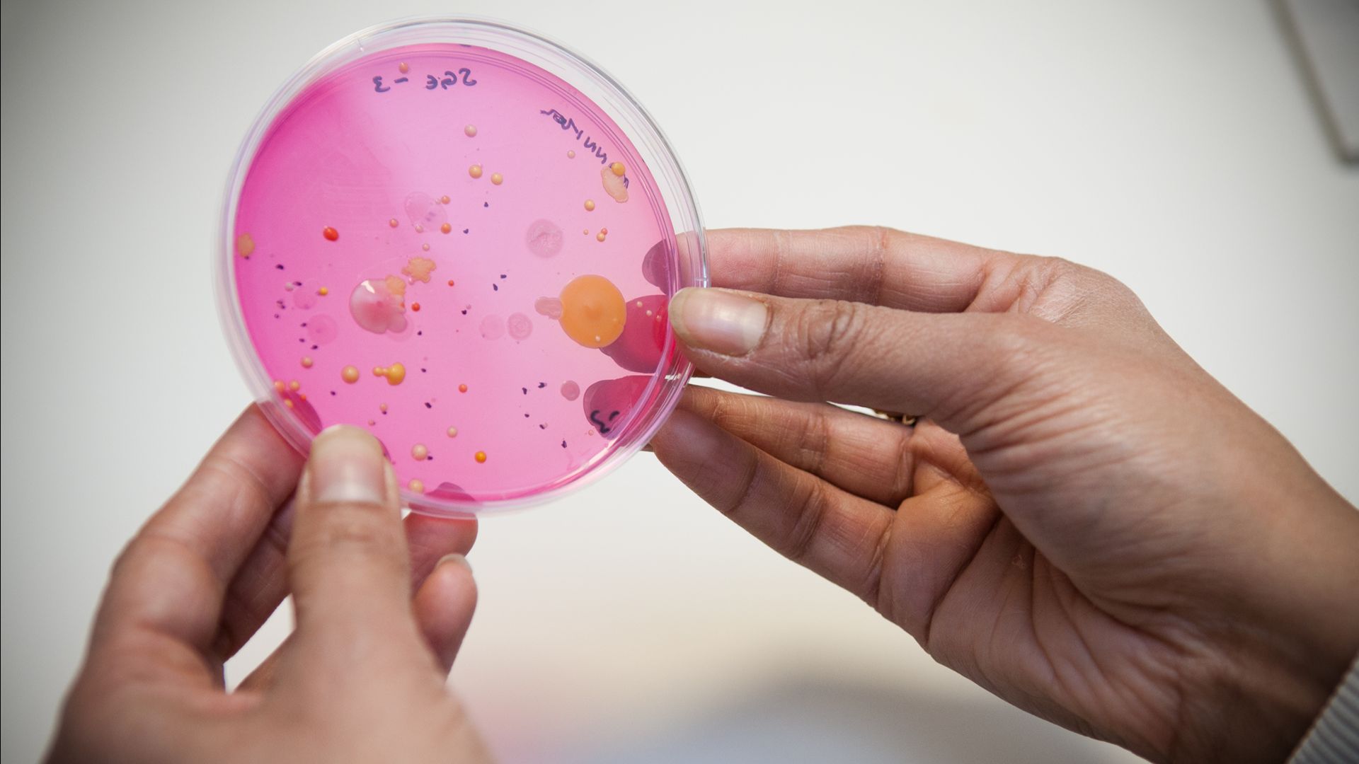 Scientists Administer First AI-Designed Virus to Human Patient