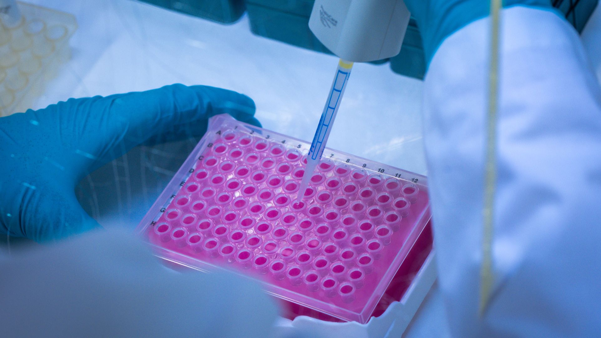 AI-Generated Viruses Raise Biological Security Concerns